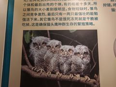 -天津自然博物馆