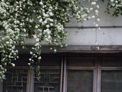 -老门东历史文化街区