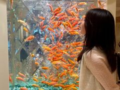-永利澳门酒店