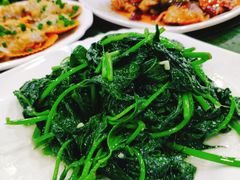 地瓜叶-刘记糟粕醋海鲜烧烤