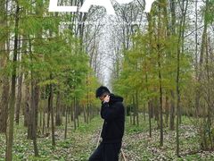 -合肥滨湖国家森林公园