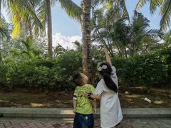 -阿侬盐焗鸡(清澜店)