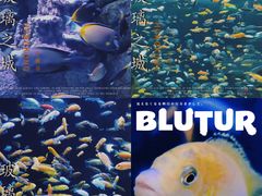 -成都浩海立方海洋公园