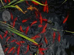 -溧水东庐山服务区-停车场