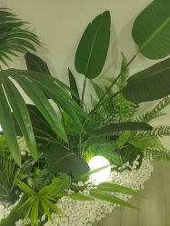 -HEYAN荷妍专业脱毛连锁机构