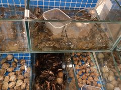 -元一希尔顿酒店·禅自助餐厅·啤酒花园