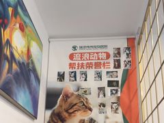 -伟伟宠物医院·瑞派猫友好医院·猫科(光谷店)