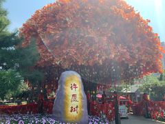 -沈阳方特欢乐世界