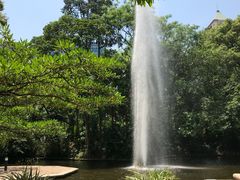 -九龙公园
