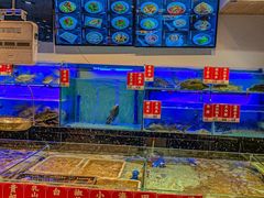 -虾饺妹·酒家(金碧店)