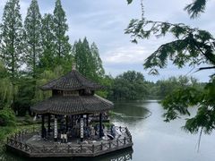 -茅家埠