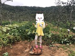 -百果山乐享果玩