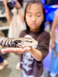 -Zoolung Zoolung动物主题公园(海信广场店)