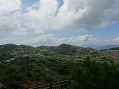 -军营村