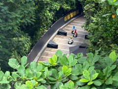 -圣淘沙天际线斜坡滑车