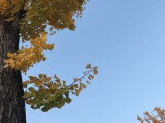 -两江幸福广场