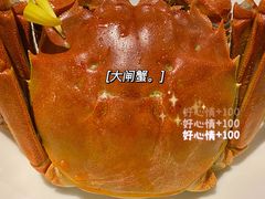 -蟹榭·本帮江浙菜·蟹宴(五角场合生汇商场店)