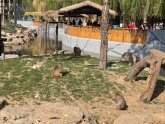 -北京野生动物园