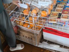 -蓝湾碧波·老字号·疍家非遗海上餐厅