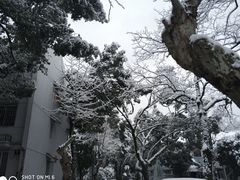 -中国人民解放军联勤保障部队第九〇三医院(九里松院区)