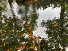 -恭王府博物馆
