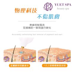 -悦荟YUET SPA