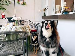 -ommo cafe(半岛城邦店)