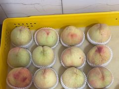 -老袁家蜜桃农场·阳山水蜜桃