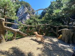 -罗田天堂寨风景区