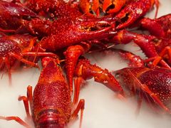 -红盔甲·小龙虾(人民广场店)