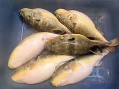 -永安鱼庄·镇江菜(东吴路店)