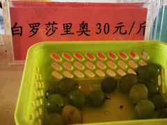 -白鹿原葡萄主题公园