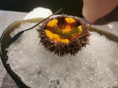 海胆刺身-渡鲑亭(东二环泰禾广场店)