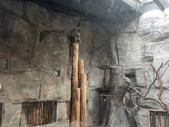 -武汉动物园