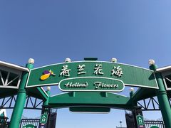 -荷兰花海