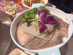 -钢管厂五区小郡肝火锅串串香(总店)