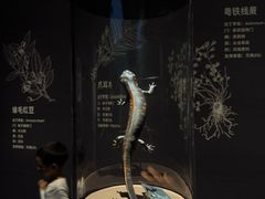 -中国湿地博物馆