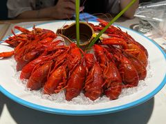 -杨氏青龙虾·吃蟹季(金盛路总店)