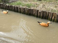 -上海野生动物园