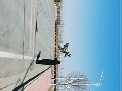 -南大港湿地风景区