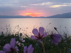 -艾溪湖湿地公园