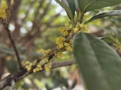 -木塔寺遗址生态公园