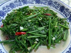 水蕨菜-瑶河山里菜