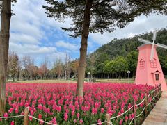 -顺峰山公园