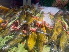 -苏格里岛自助海鲜烤肉(青秀万达店)