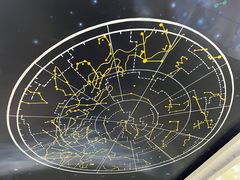 -深圳少年儿童图书馆