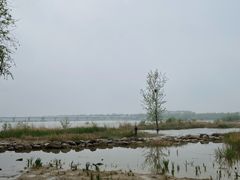 -绿堤公园