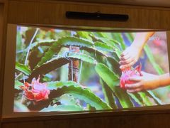 -和子足浴SPA会馆(梁溪店)