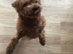 -纳吉亚猫专科动物医院博雅分院