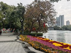 -荔湾湖公园